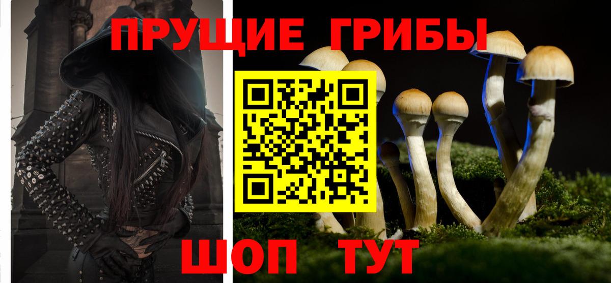 Омск  Галлюциногенные грибы ЛСД  Вход с VPN 